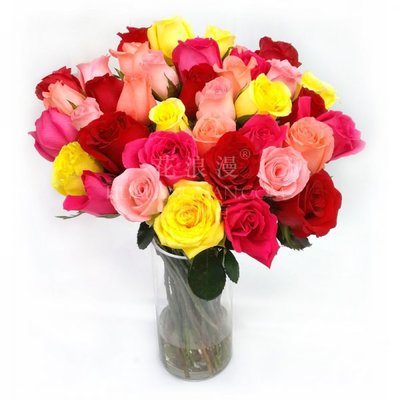 黄玫瑰花语解析及其在礼品花卉销售中的应用