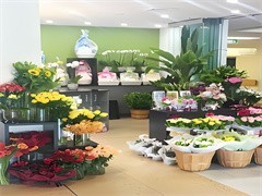 黄山鲜花花篮与礼品花卉销售 自然之美与情感传递的艺术